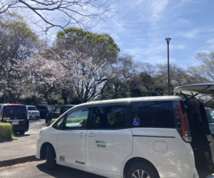 佐鳴湖公園で春を感じるひととき