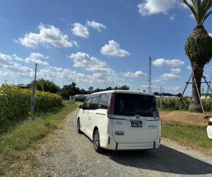 浜北さくら台病院近くにひまわり畑